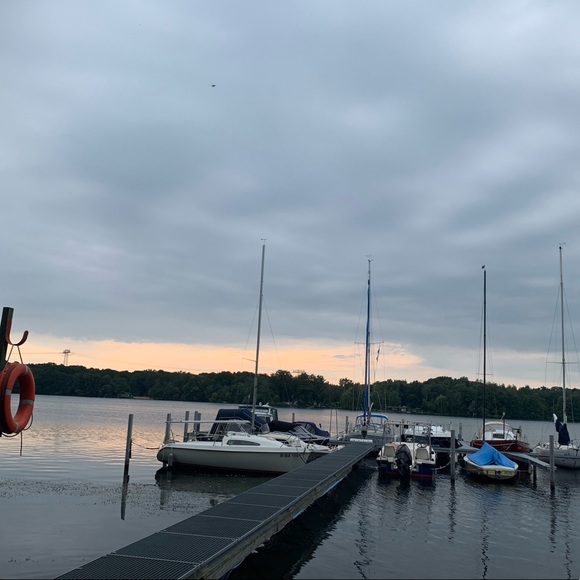 Meet your Posher, Ava - Picture 1 of 1